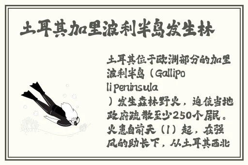 一百种在床上打扑克